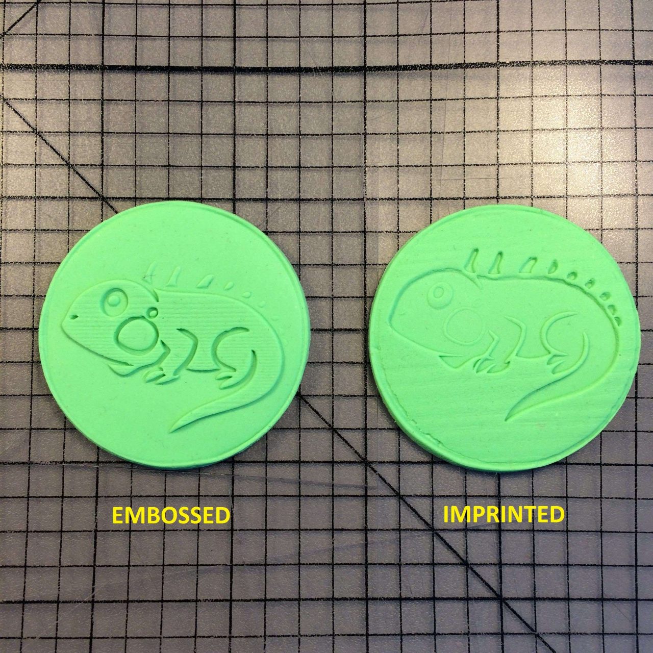 Lizard 100 Cookie Cutter and Stamp written