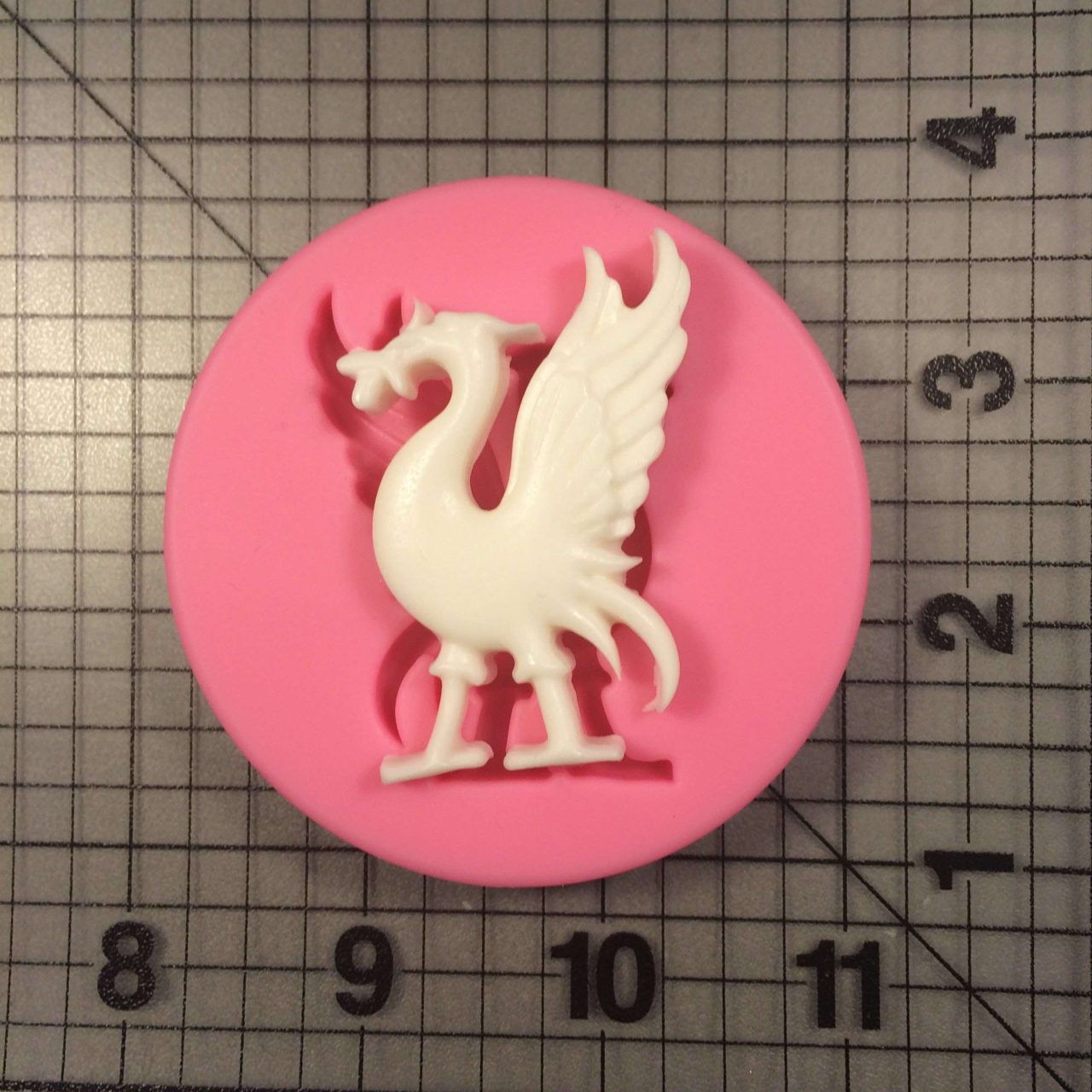 Dragon 108 Silicone Mold (1)