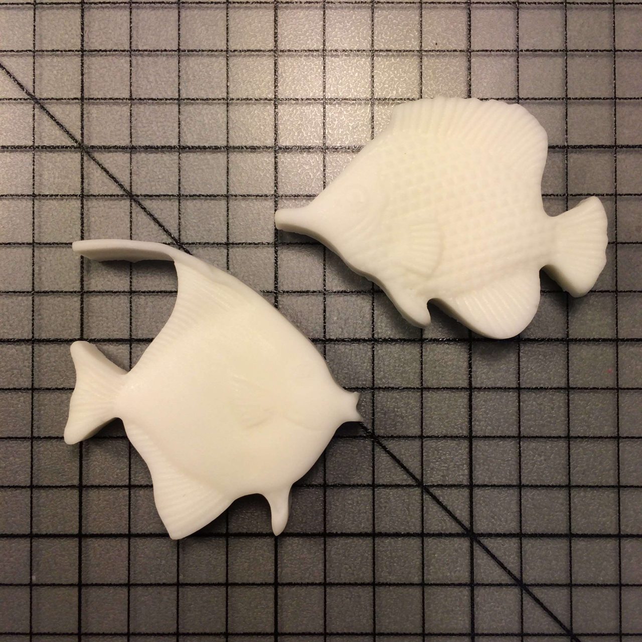 Tropical Fish 568 Silicone Mold (1)