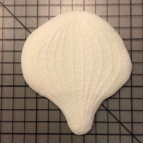 Veiners for Vanda Orchid 150 Silicone Mold (2)