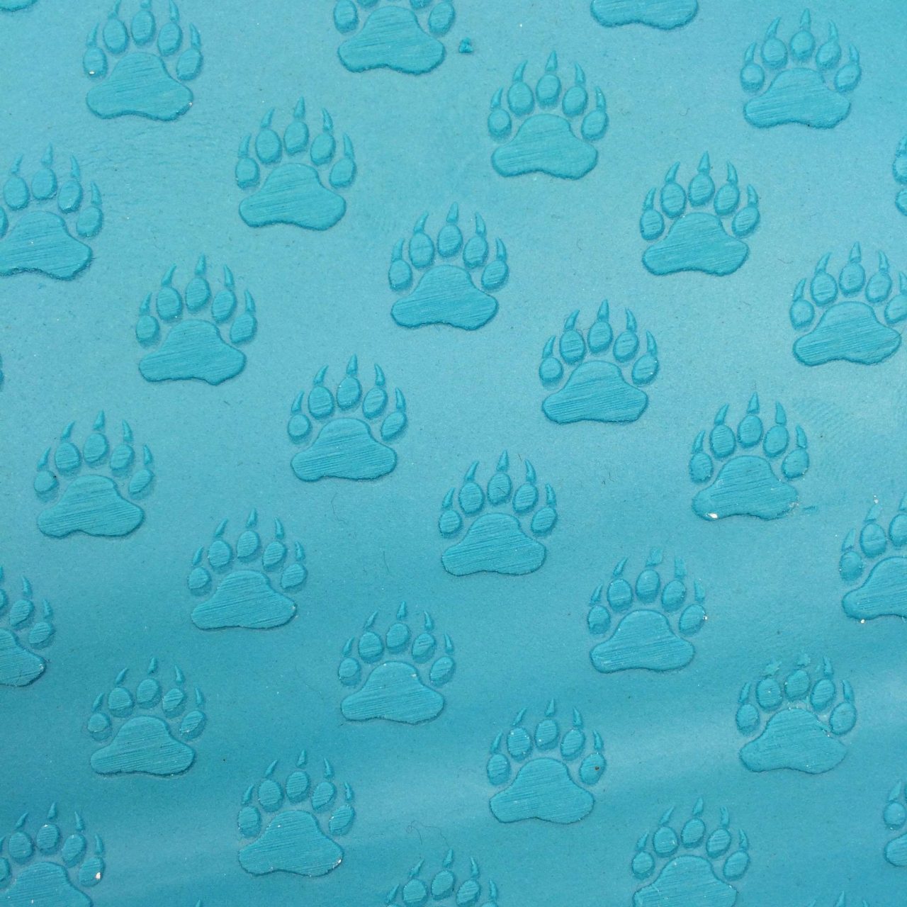 Bear Paw 765-057
