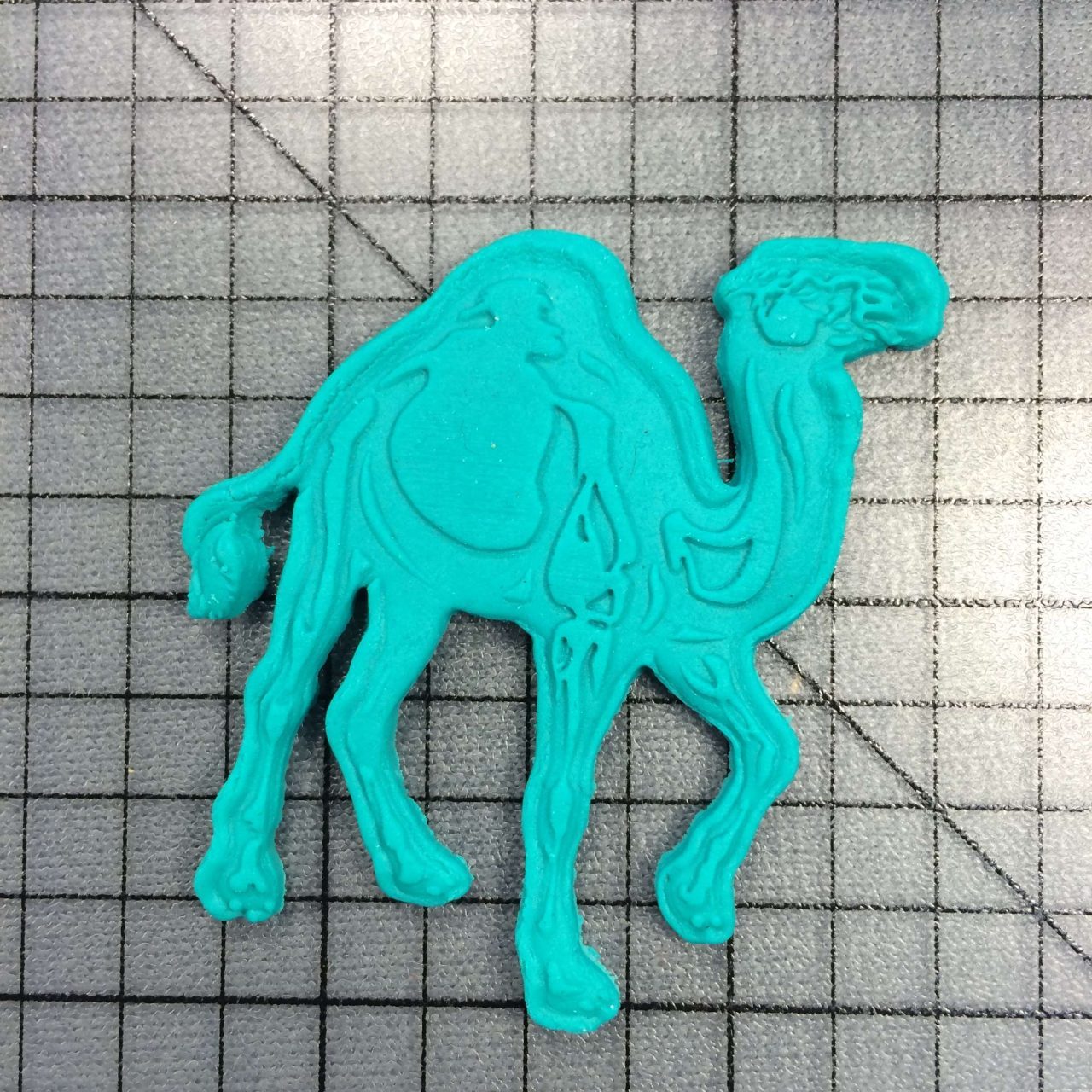 Camel 227-030 Cookie Cutter and Stamp Imprinted (2)