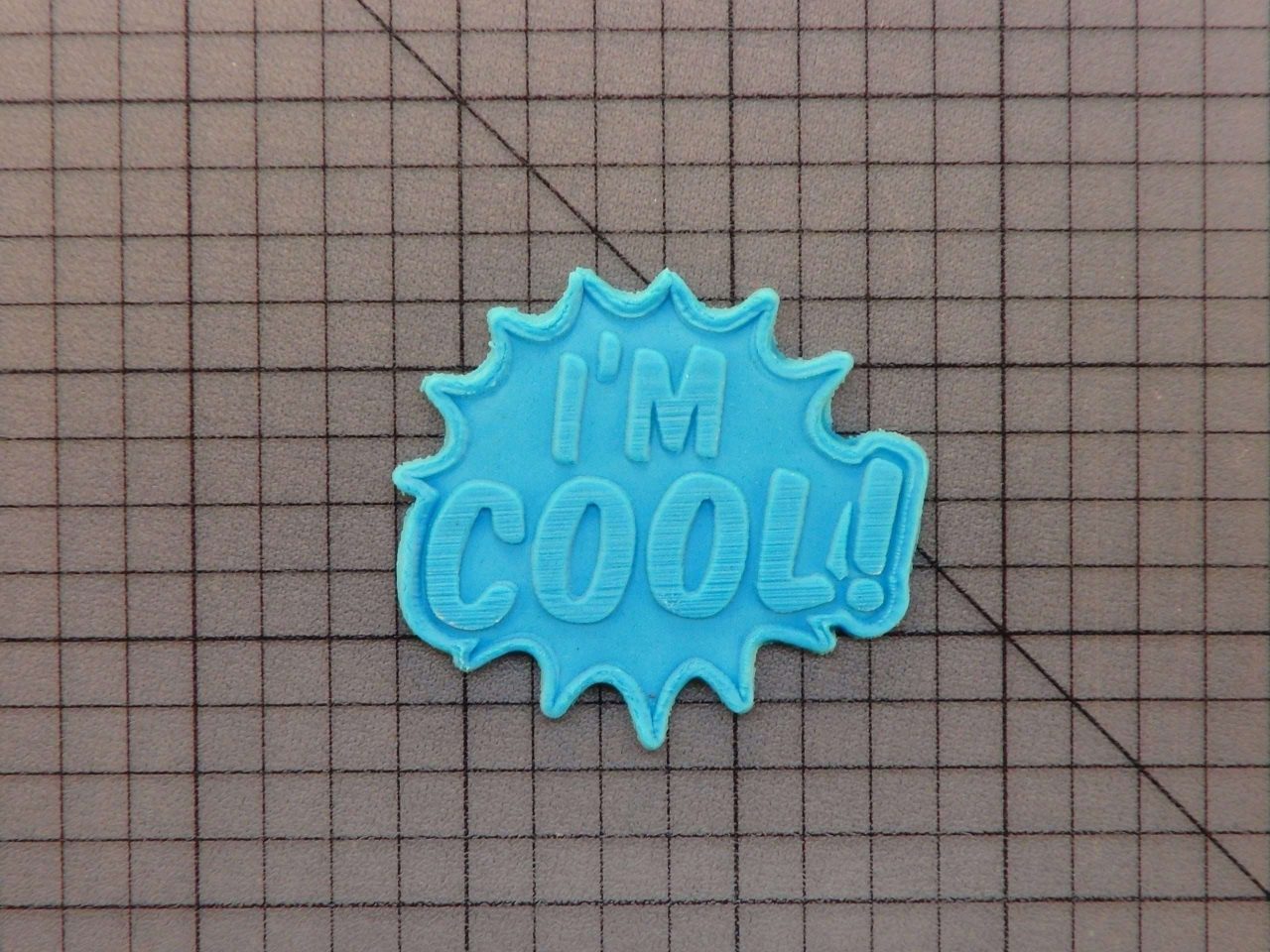 I'm Cool Stamp 227-051 Cookie Cutter and Stamp Imprinted (2)