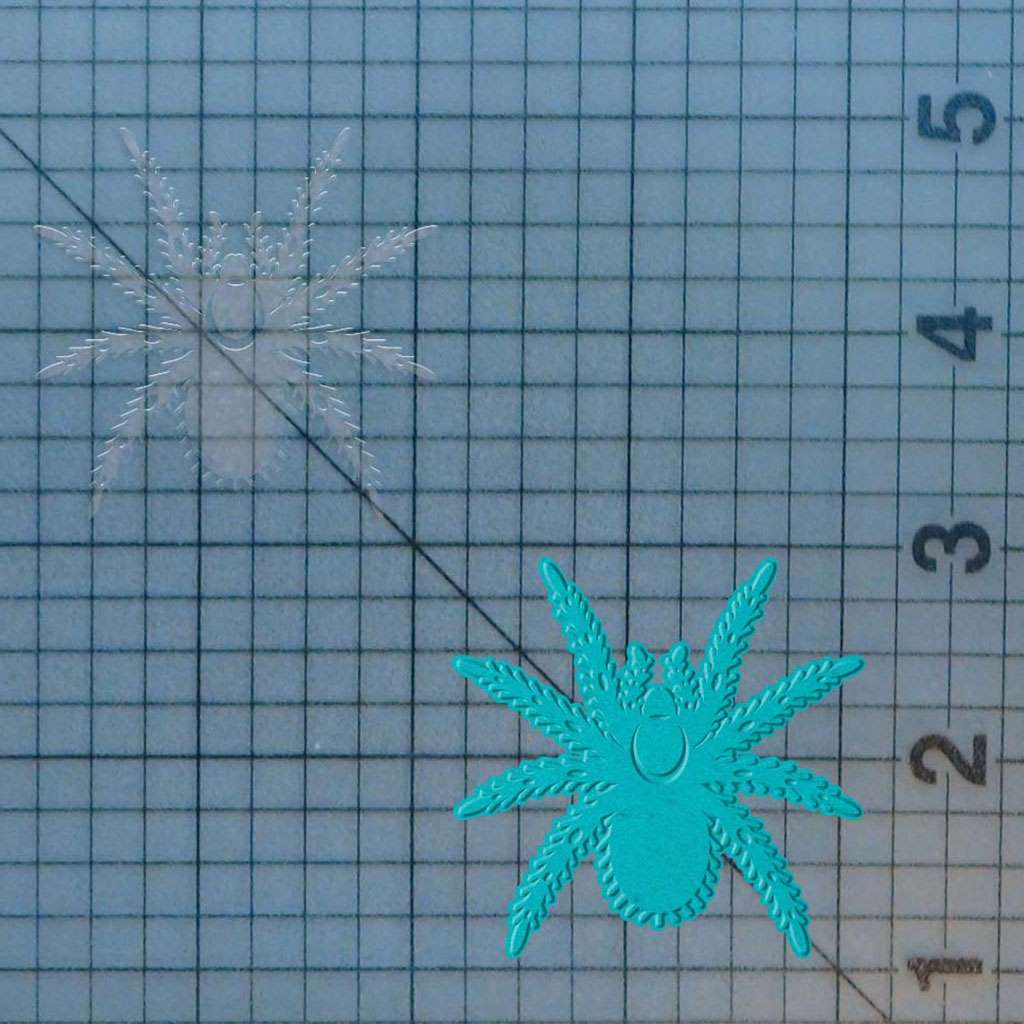 Tarantula 227-108 Cookie Cutter and Stamp - Image 2