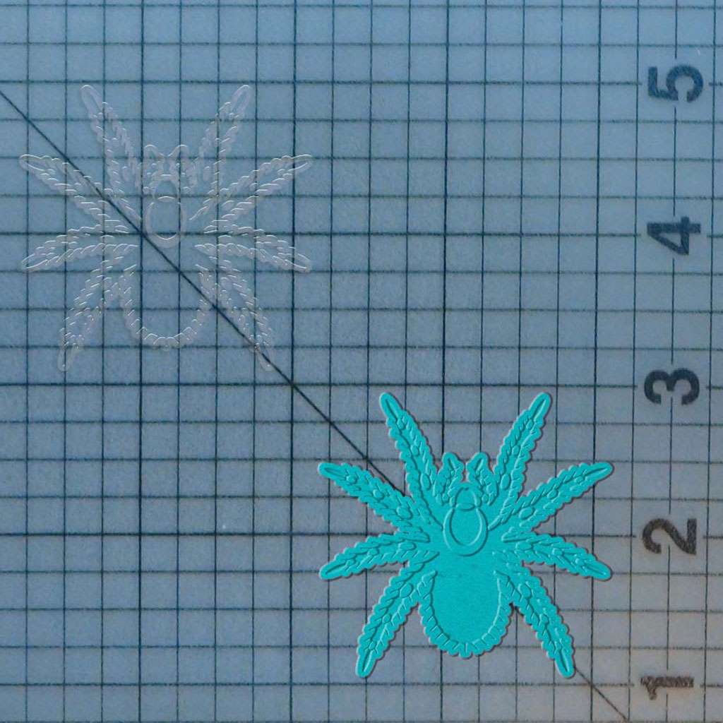Tarantula 227-108 Cookie Cutter and Stamp - Image 4