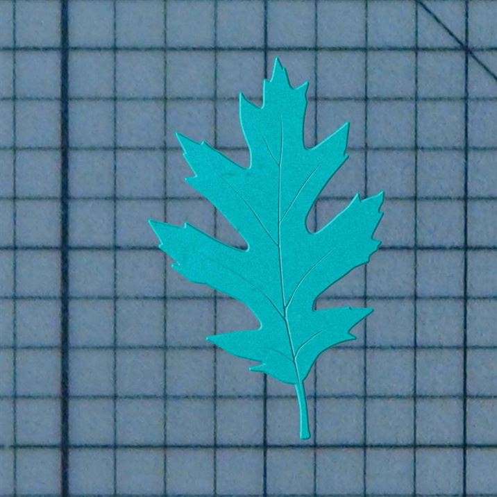 Fall Leaves 227-020 Cookie Cutter and Stamp