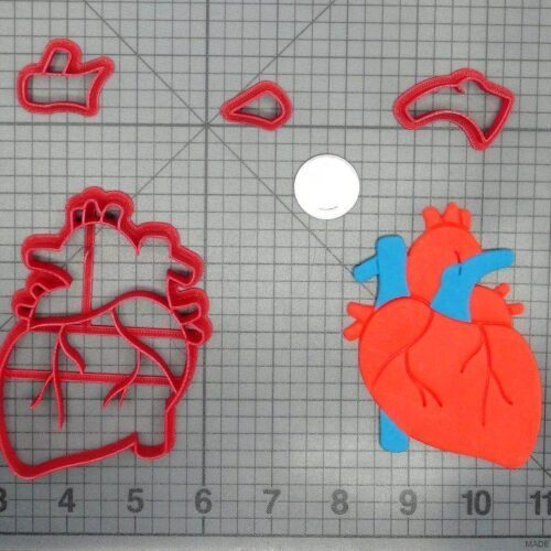 Heart Anatomical Structure 266-D277 Cookie Cutter Set