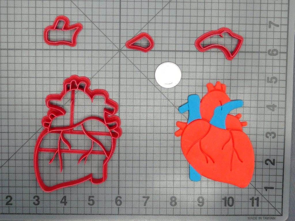 Heart Anatomical Structure 266-D277 Cookie Cutter Set