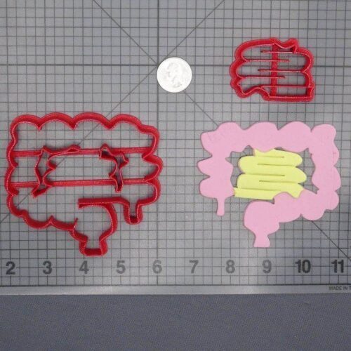 Anatomy - Intestines 266-D648 Cookie Cutter Set