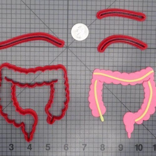 Anatomy - Large Intestine 266-D649 Cookie Cutter Set