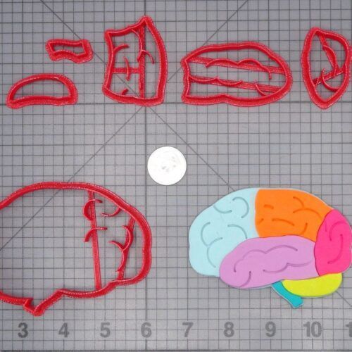 Brain Structure 266-H128 Cookie Cutter Set