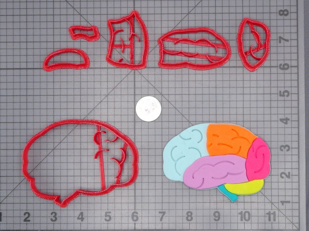 Brain Structure 266-H128 Cookie Cutter Set
