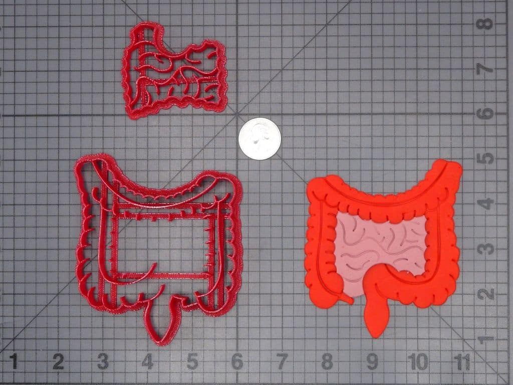 Intestines 266-H551 Cookie Cutter Set