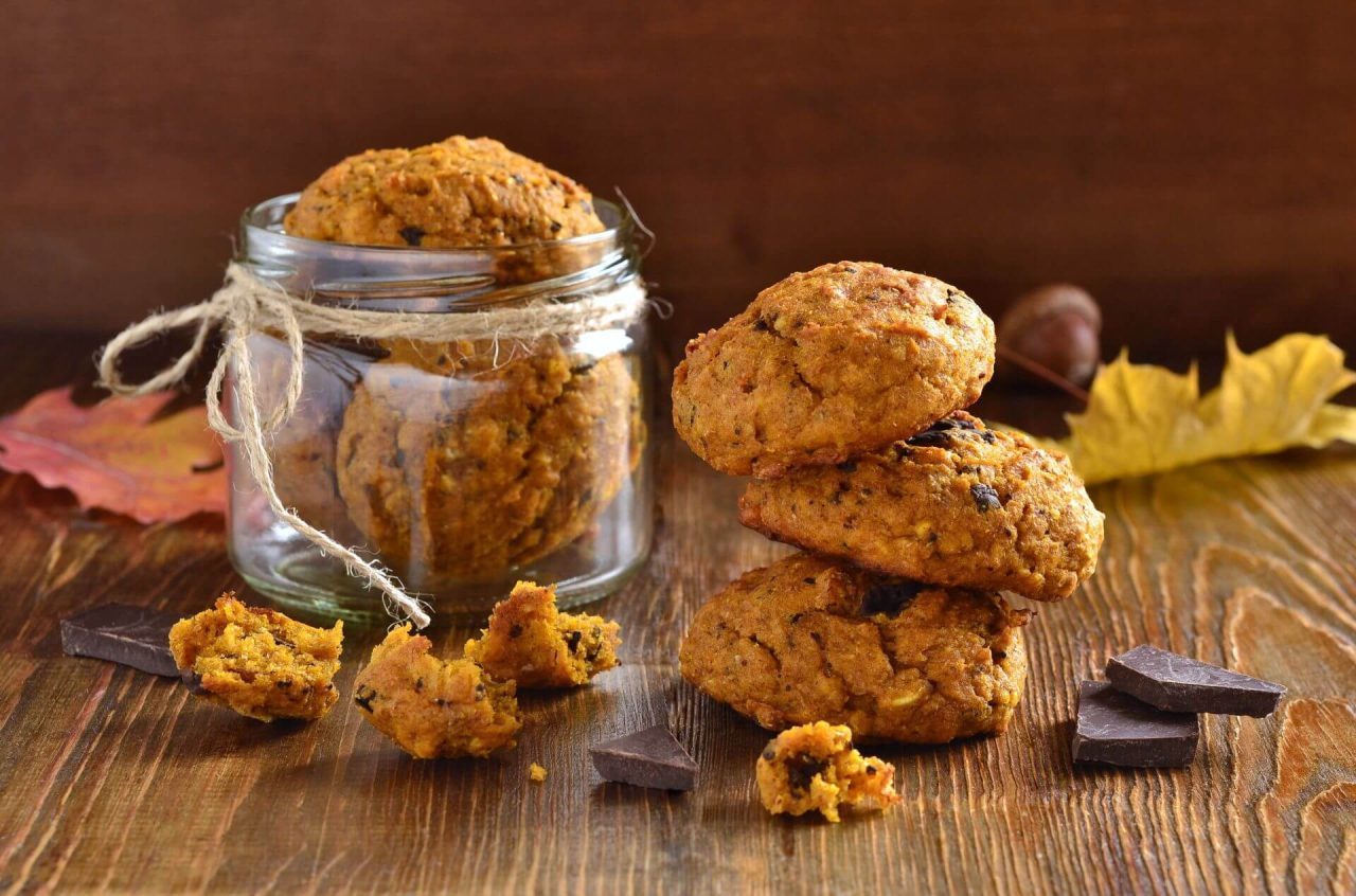 Pumpkin chocolate chip recipe