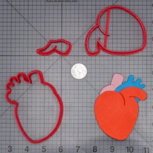 Heart Anatomical Structure 266-I397 Cookie Cutter Set