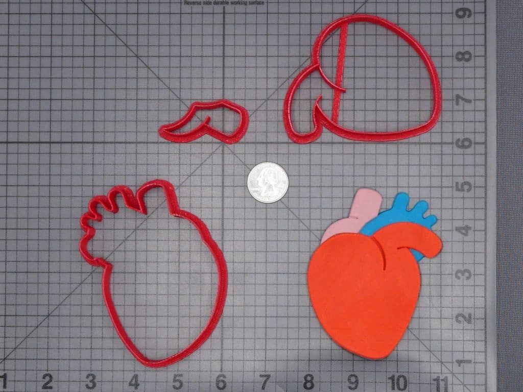 Heart Anatomical Structure 266-I397 Cookie Cutter Set