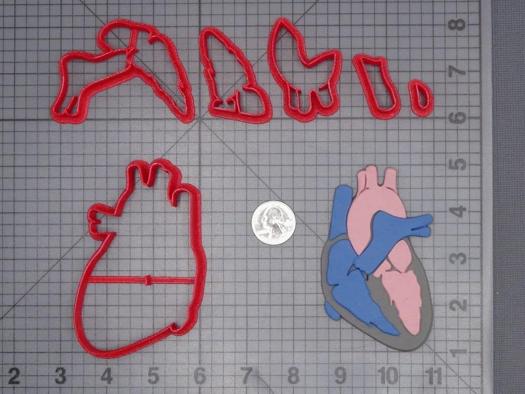 Heart Circulation Diagram 266-J034 Cookie Cutter Set