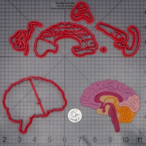 Brain 266-L237 Cookie Cutter Set