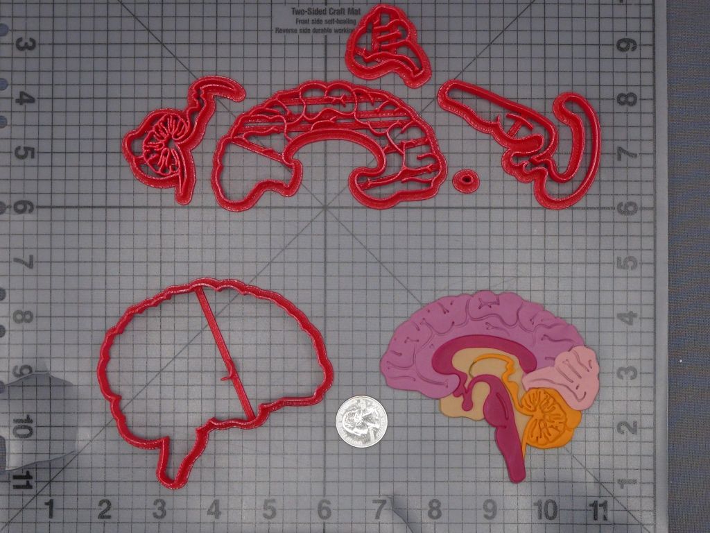 Brain 266-L237 Cookie Cutter Set