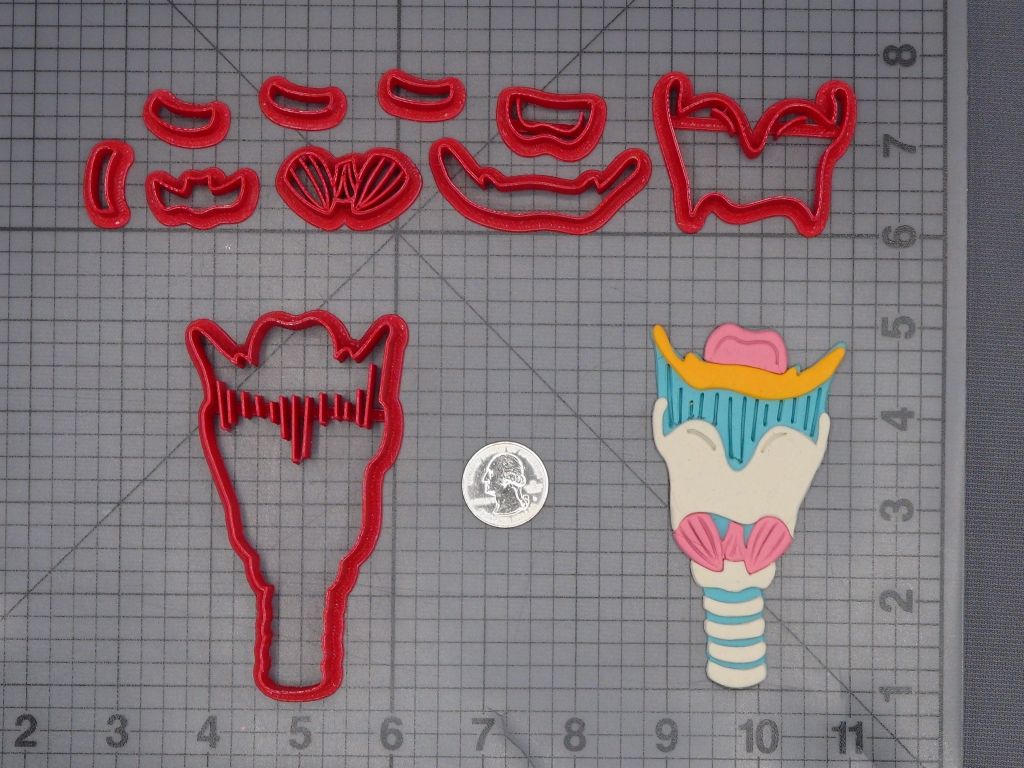 Larynx Throat 266-L389 Cookie Cutter Set