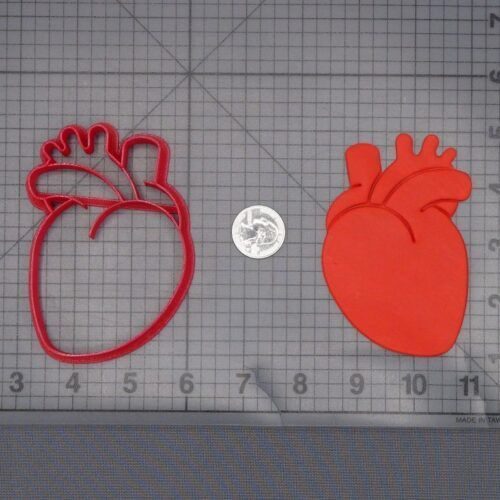 Heart Anatomical Structure 266-L680 Cookie Cutter