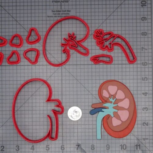 Kidney 266-L894 Cookie Cutter Set